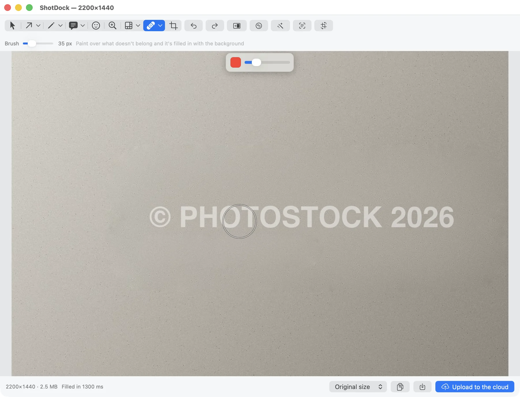 ShotDock's erase brush removing a line of a watermark from a photo